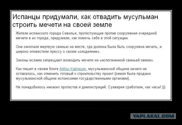 Смешные комментарии 02.08.2015