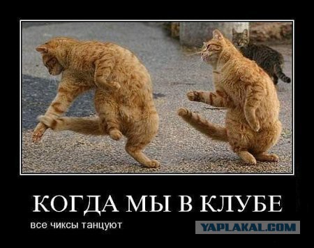 Вторник-повторник