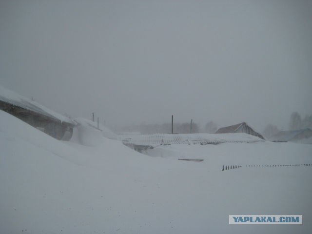 Снегопад в Алтайском крае, г. Змеиногорск