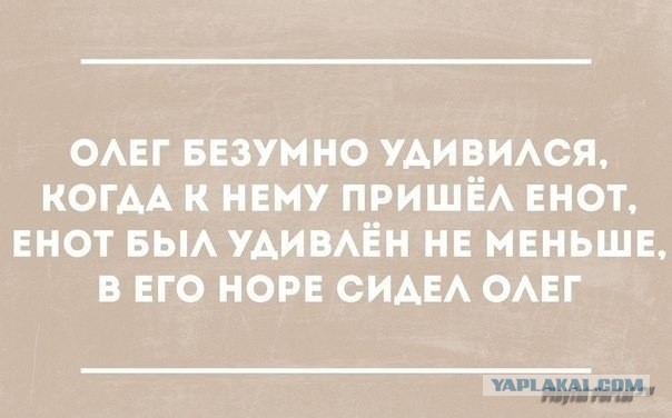 Плюшкиным посвящается