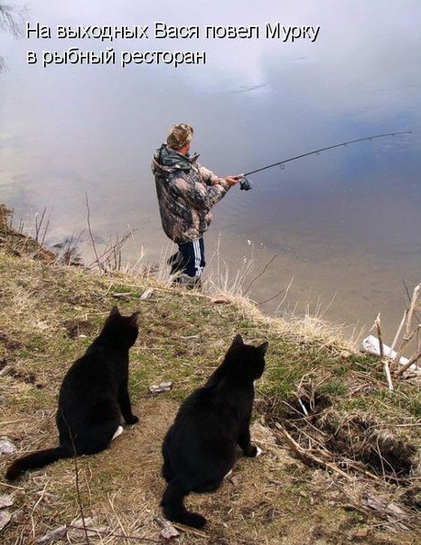 История одной летней рыбалки