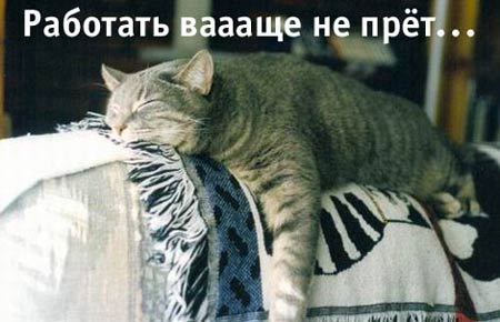 Картинки на пятницу