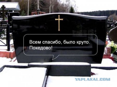 Картинки из сети
