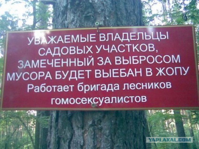 Хрююю....Пост о свиньях и свинстве.