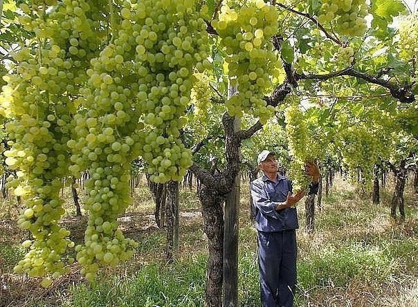 Подборка интересных и веселых картинок
