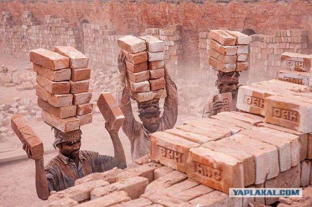 Своя ноша не тянет