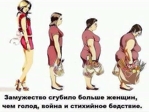 Ужасы и приколы из соцсетей
