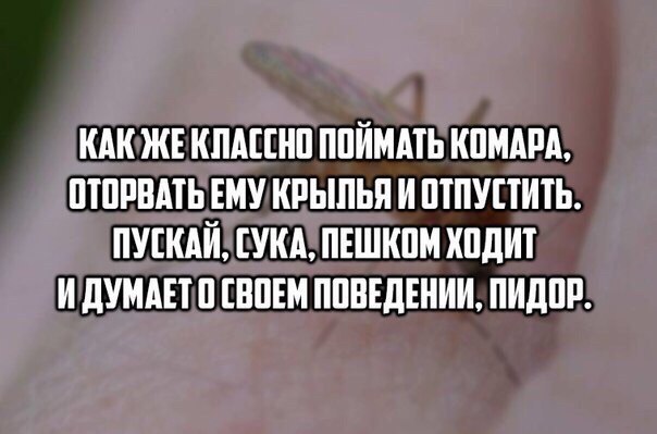 Картинки и гифки с юмором в честь дня малинового варенья