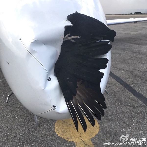 Несколько картинок