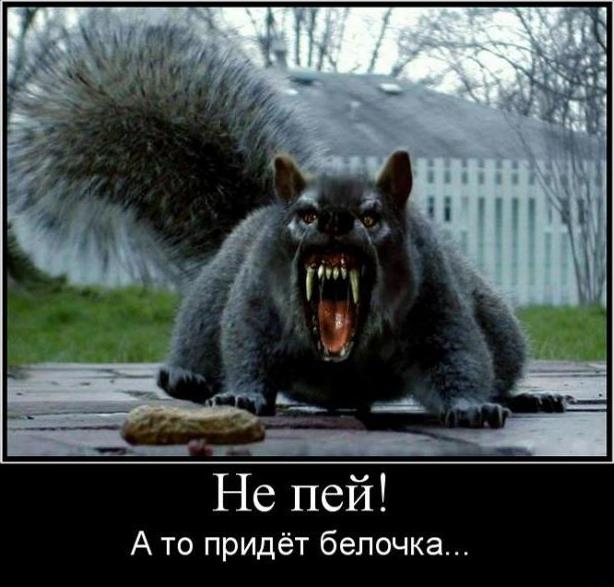 Всячина. Картинки и тексты картинками.