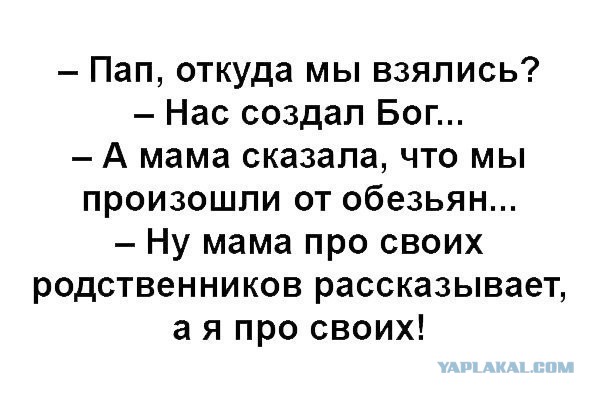 Забавные комментарии, шутки и фразы из этих ваших интернетов