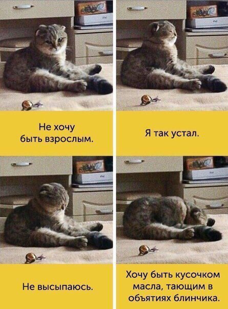 130 картинок для поднятия настроения!