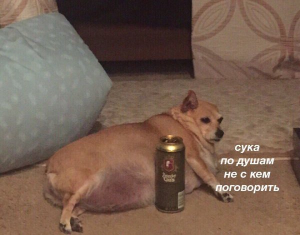 Приколы в стиле "регресс"