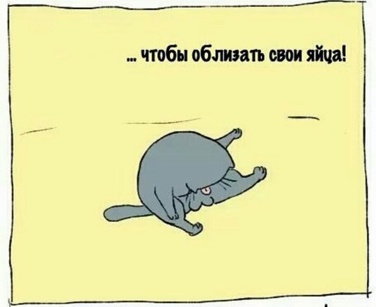 Приготовились?