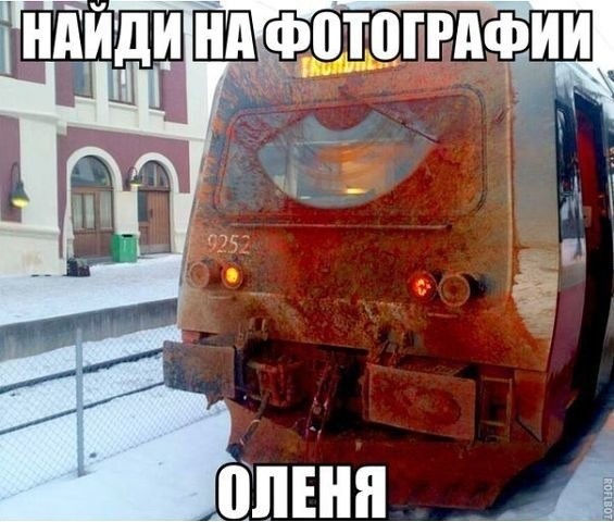 Тупик эволюции