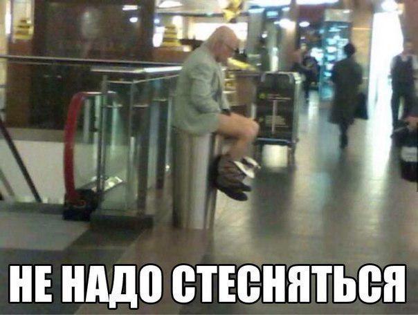 Скотсети и прочие интернеты 12.03.18