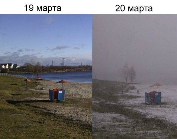 Прикольные картинки обо всём