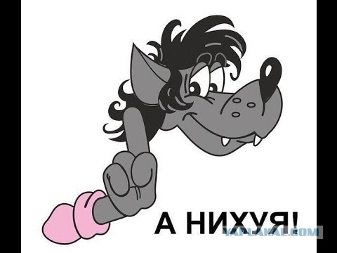 Найден автор DDOS-атак на ЯП