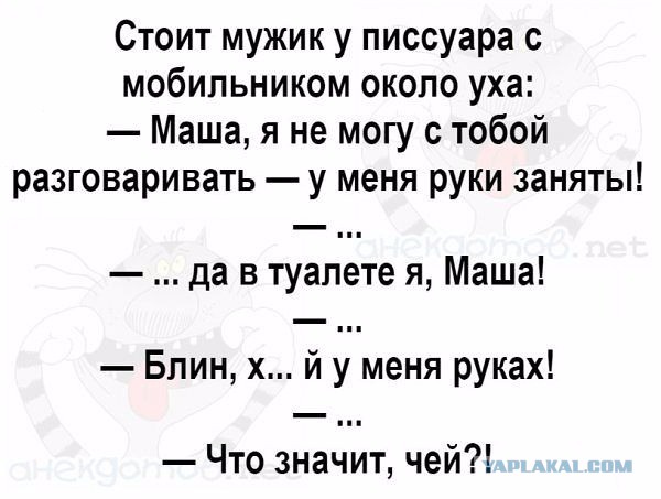 Немного картинок в этот вторник