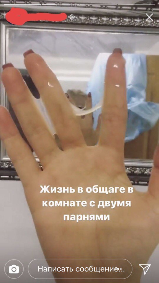 Скотсети и прочие интернеты 02.10.18