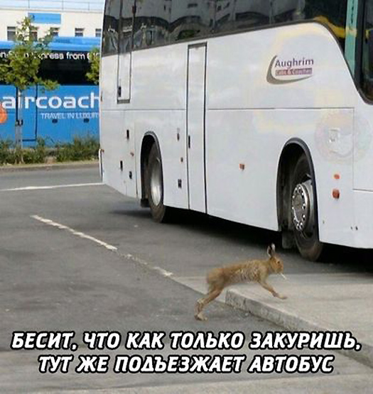 Немного картинок на вечер