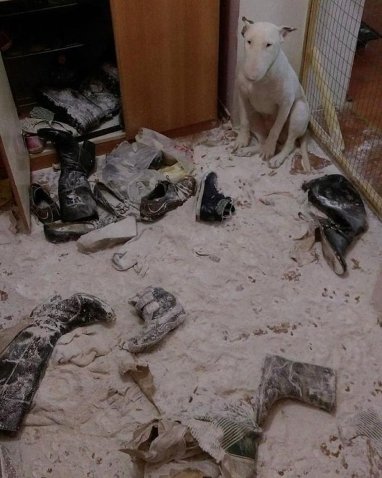 WTF: что тут происходит?