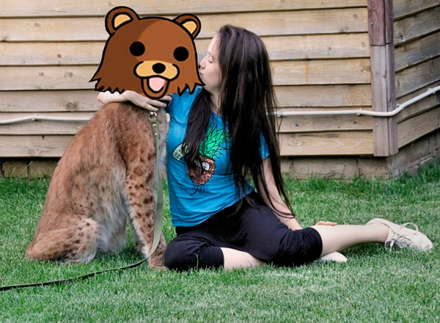 Рысь - на правах домашнего любимца