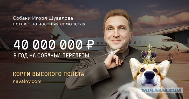 Участок 7,6 га Игоря Шувалова в Сколково Росреестр оценил по стоимости айфона.