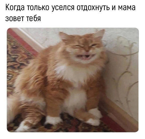 Подборка интересных и веселых картинок