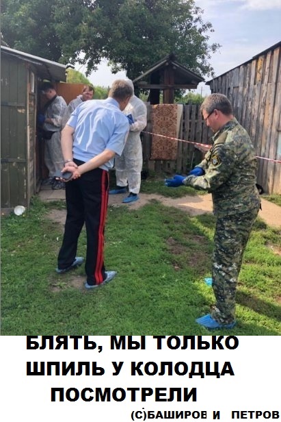 Скотсети и прочие интернеты 01.11.19