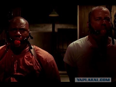 Как разжать челюсти бойцовской собаке, питбулю, стаффу в драке?