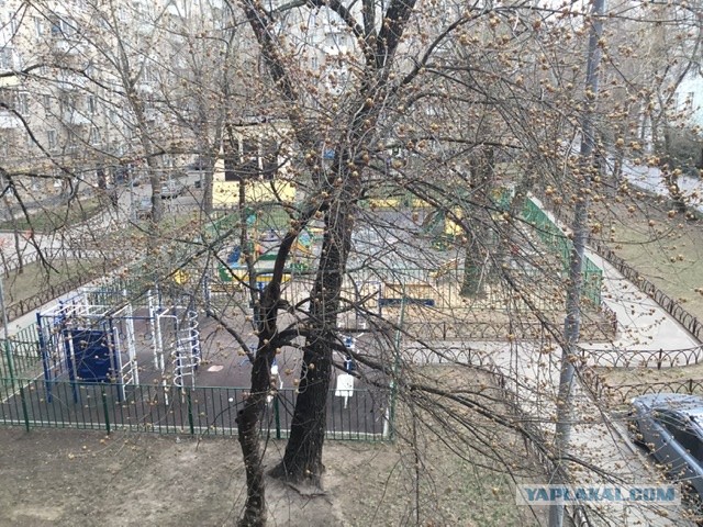 Давайте фото у кого какой вид из окна на оживленные улицы городов в настоящий момент