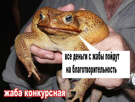 Жабы на ЯПлакалъ