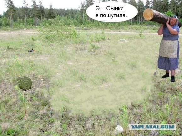 фотожаба: с бревном