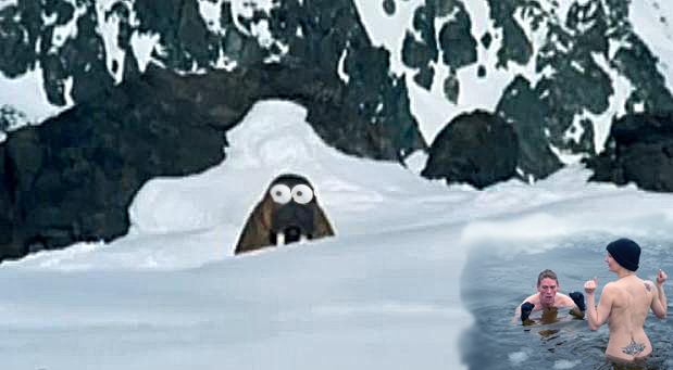 Жабим моржэ!1