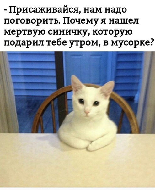 Юмор в картинках 16.11.20