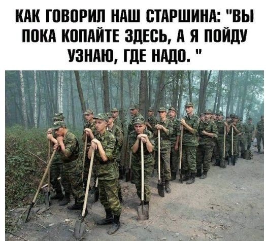 Картинки и всякие жизненные фразы