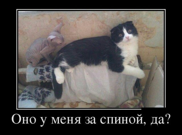 Картинки из недр интяры
