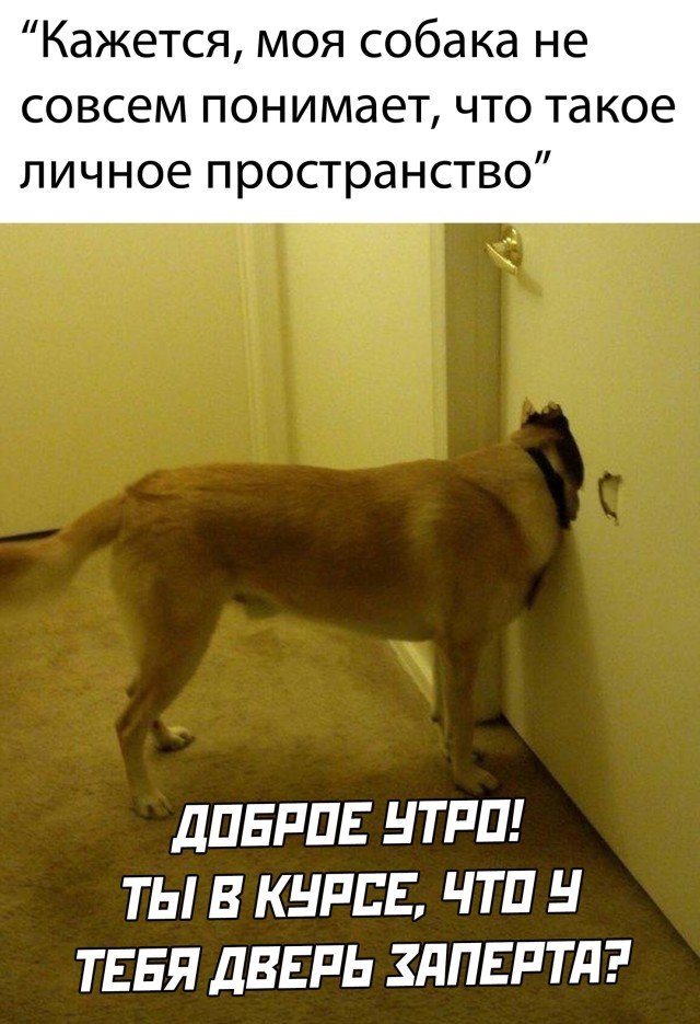 Картинки и мемы для настроения 023