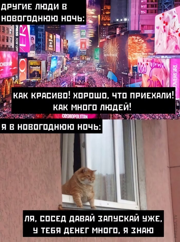 15075407.jpg