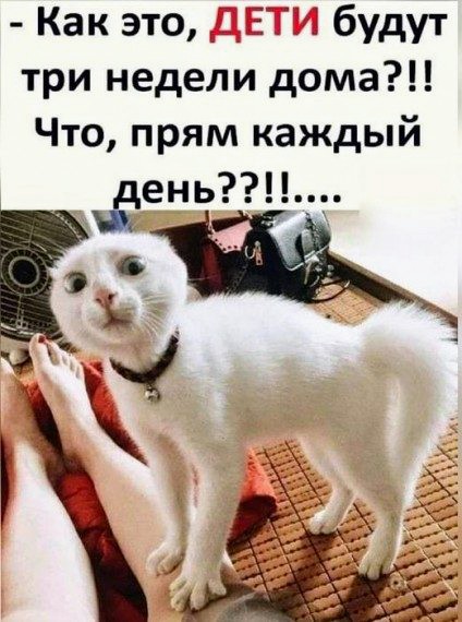 С новым годом! Картинки и мемы для настроения 02.01.2021