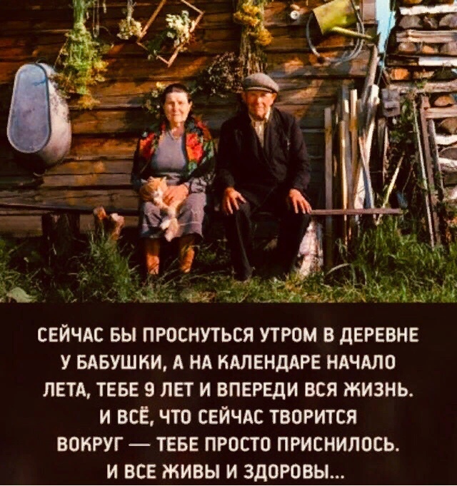 15087407.jpg