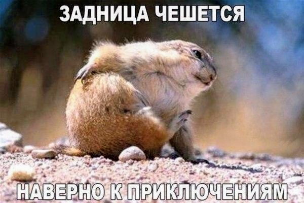 Картинки и мемы для настроения