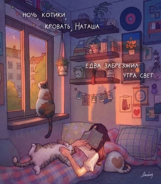 Бредзона и не только
