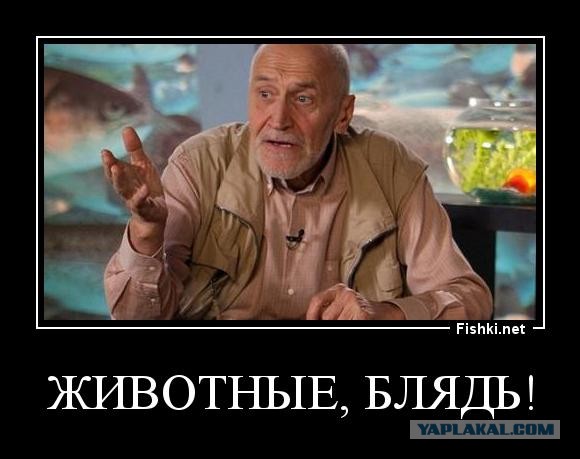 19 бесячих людей, с которыми вы вряд ли хотели бы встретиться в реальной жизни