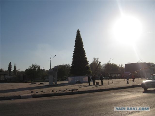 А у нас - Новый Год!