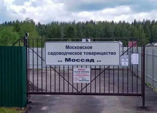 Произошел культурный шок