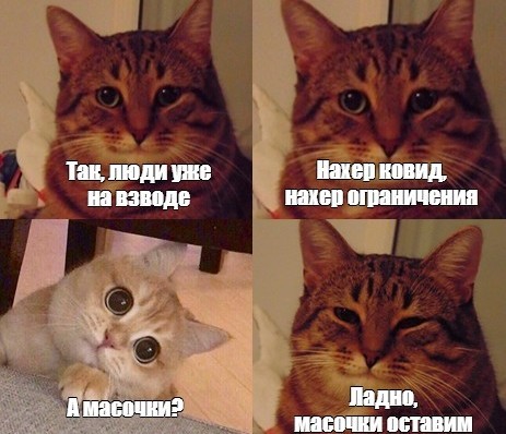 В Москве прекращается использование QR-кодов и отменяются ограничения в сфере спорта и культуры