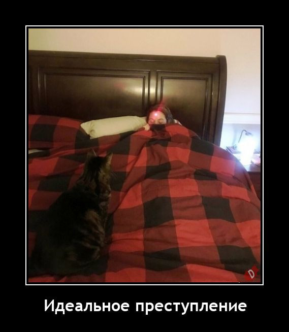 Немного картинок и прочей хреноты Vol. 10