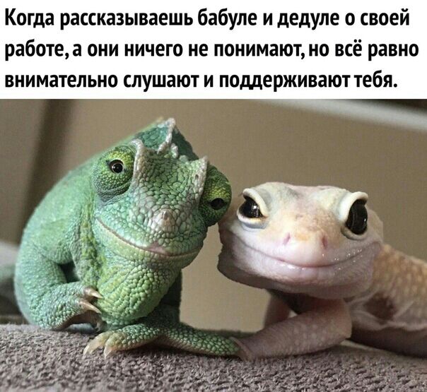 Забавные комментарии из социальных сетей (02.05.22)